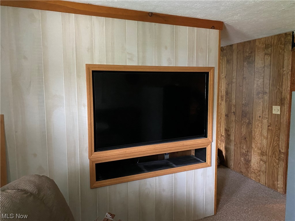 7500 Sanborn Road Ashtabula, OH 44004 - Photo 21 of 26 Lower Level Family Room, Paneling and Custom Built-In.