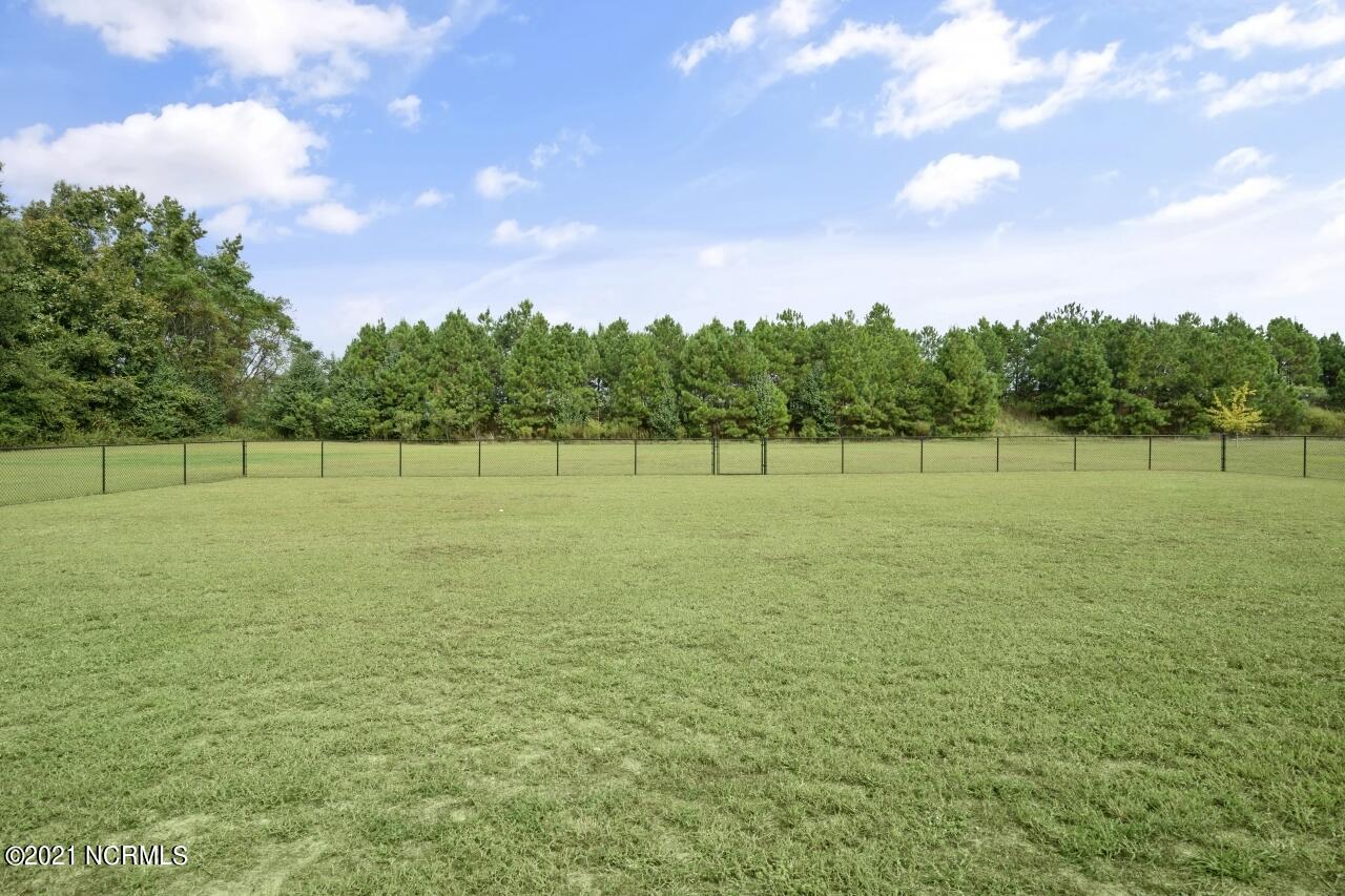 7810 Stone Castle Road Kenly, NC 27542 - Photo 24 of 25 Back Yard