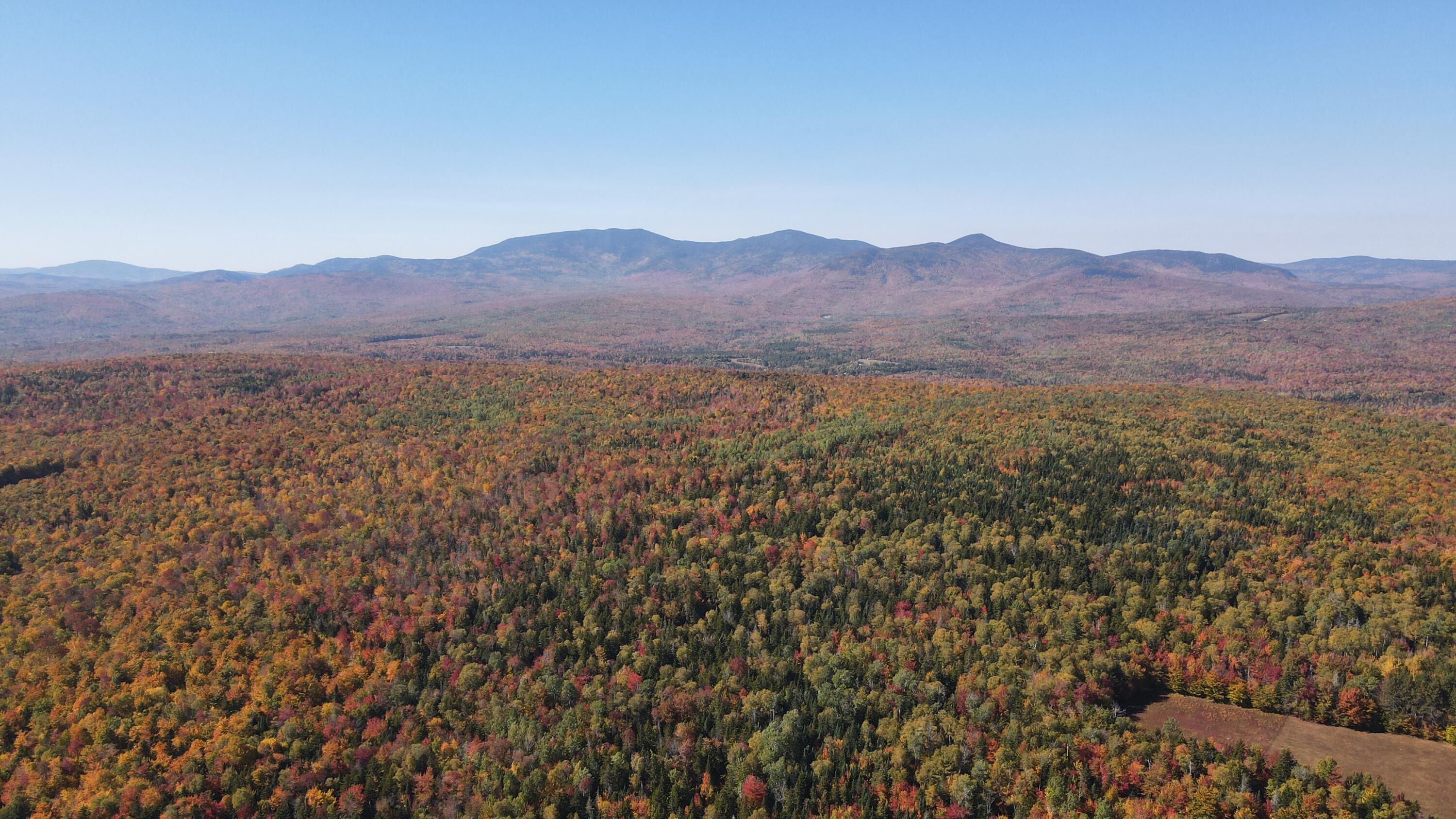 43 Bray Hill Road Phillips, ME 04966 - Photo 3 of 23 DJI_0923