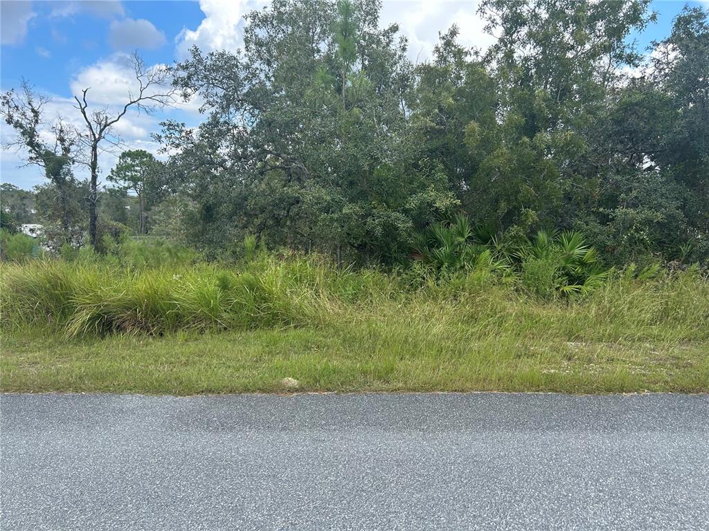 13035 House Finch Road Weeki Wachee, FL 34614 - Photo 1 of 1 a view of a yard with a tree