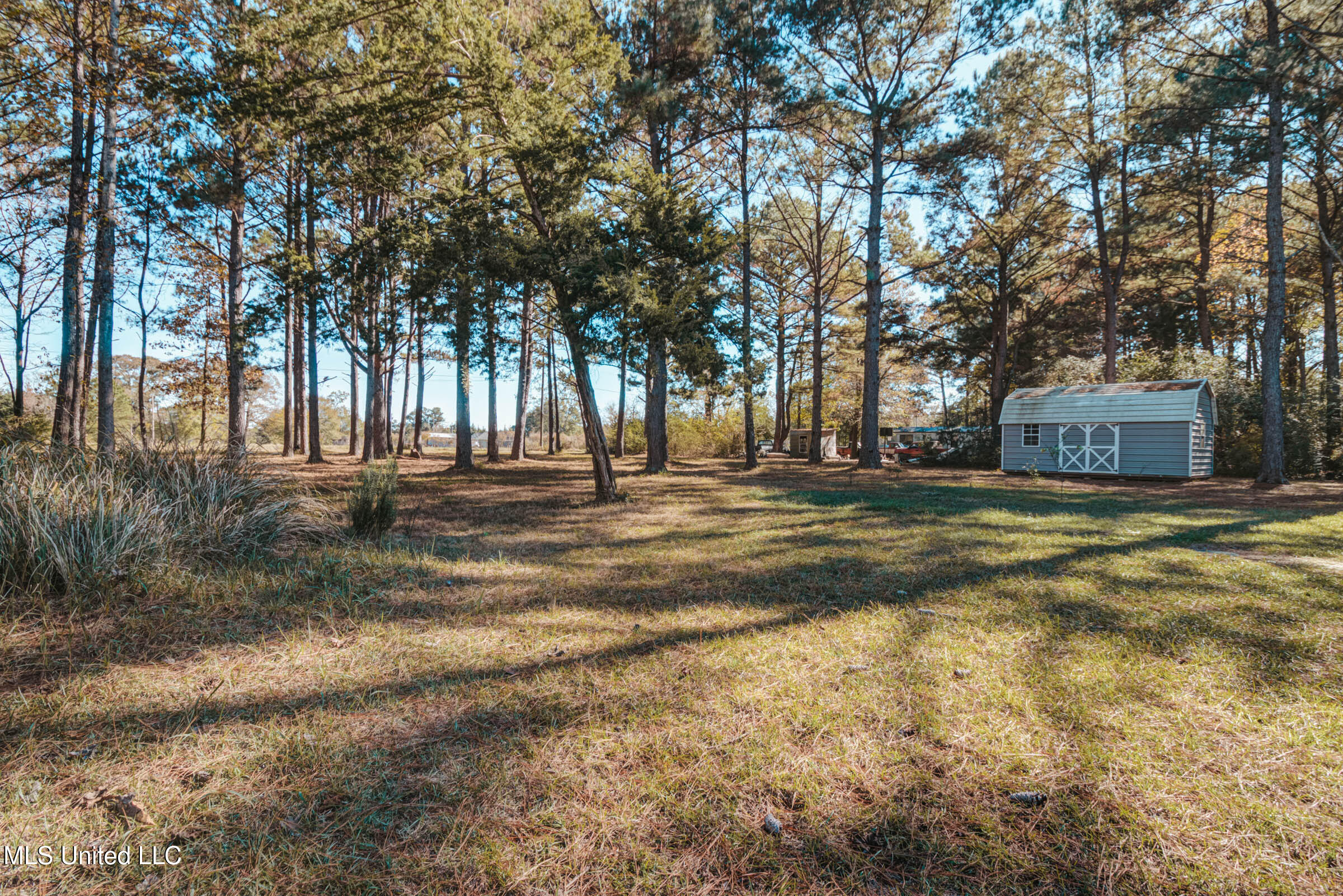 196C Easley Road, Unit D Lucedale, MS 39452 - Photo 24 of 28 1 acre lot with Shed