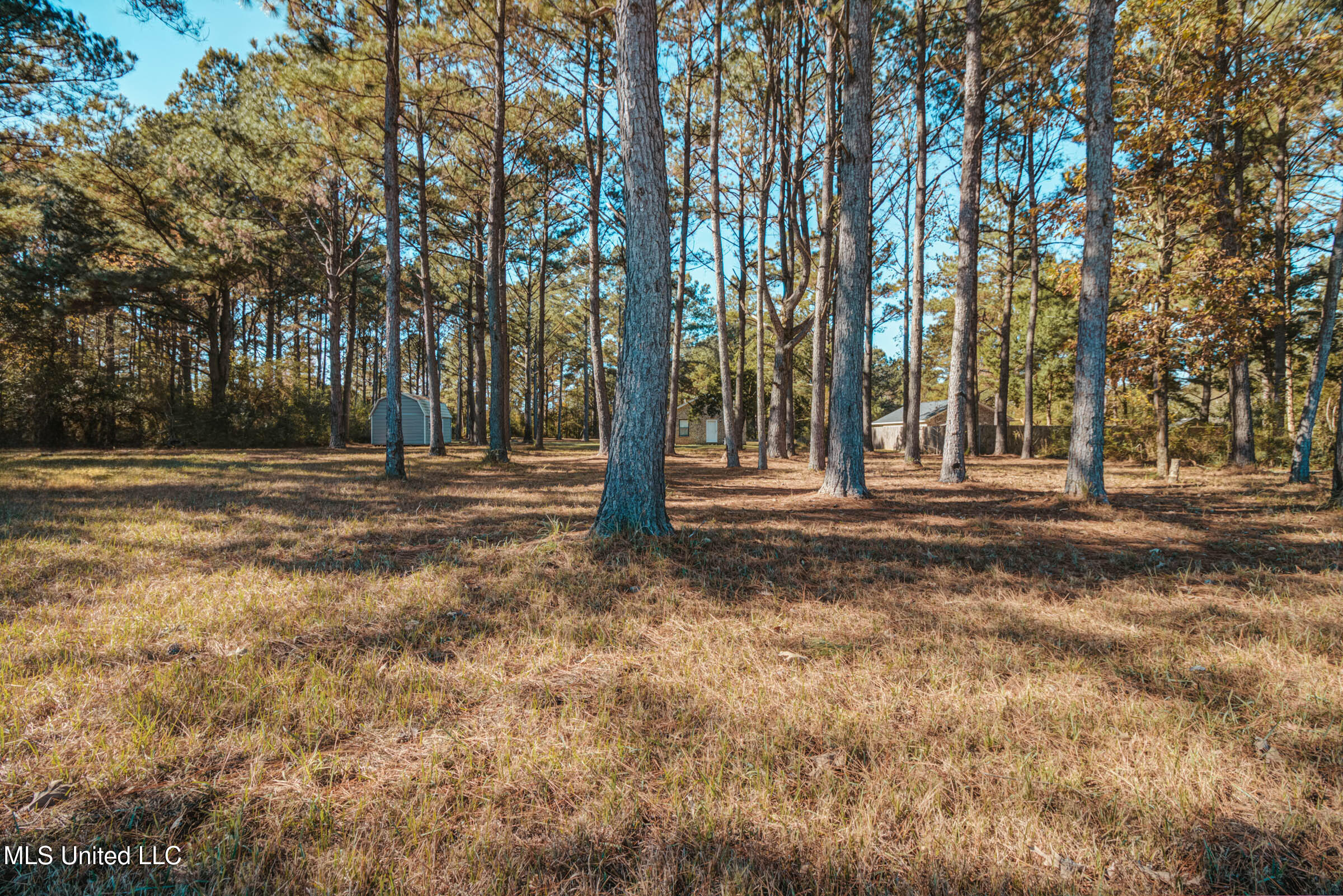 196C Easley Road, Unit D Lucedale, MS 39452 - Photo 25 of 28 Large lot