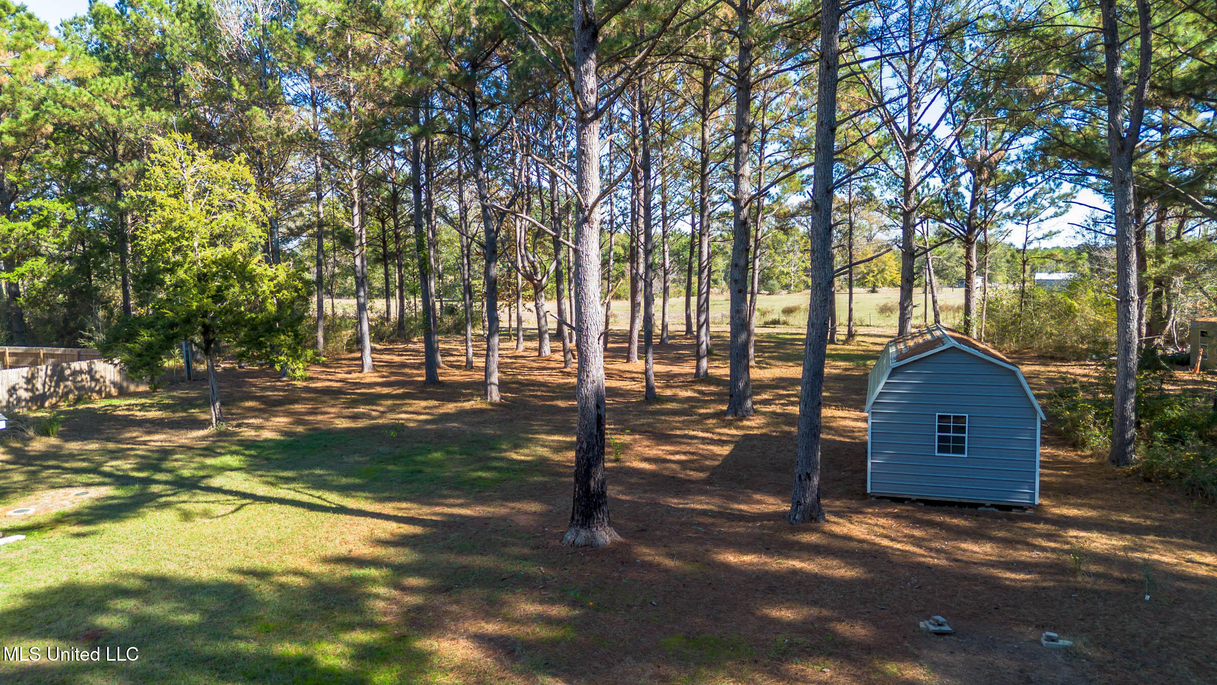 196C Easley Road, Unit D Lucedale, MS 39452 - Photo 9 of 28 Land with Shed