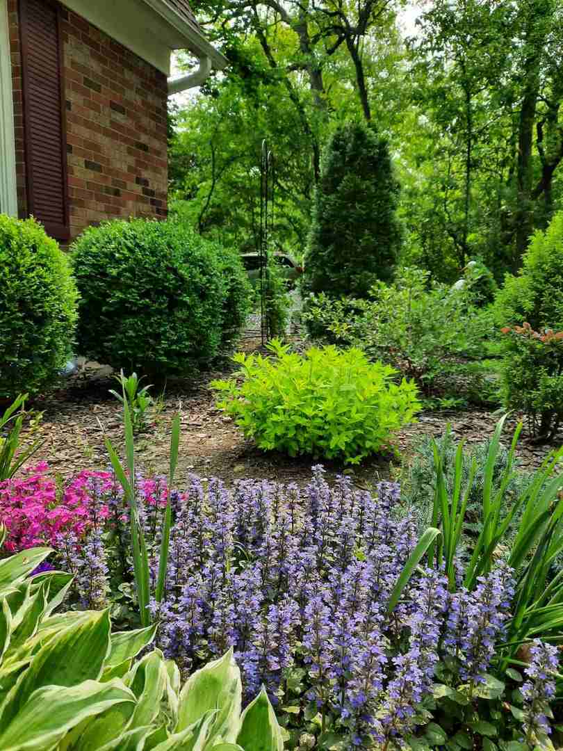 28W486 Mack Road West Chicago, IL 60185 - Photo 10 of 53
