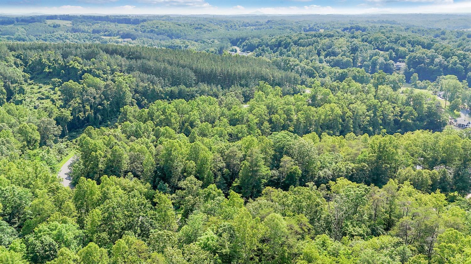 0 Watchtower Drive Moneta, VA 24121 - Photo 22 of 28 an aerial view of residential house with outdoor space and trees all around