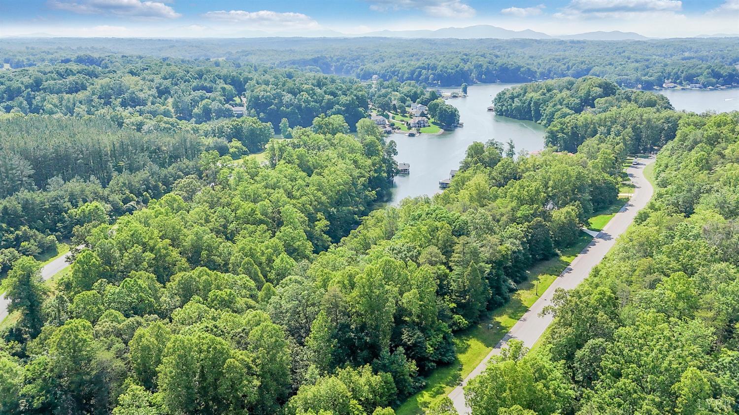0 Watchtower Drive Moneta, VA 24121 - Photo 23 of 28 an aerial view of a houses with a yard