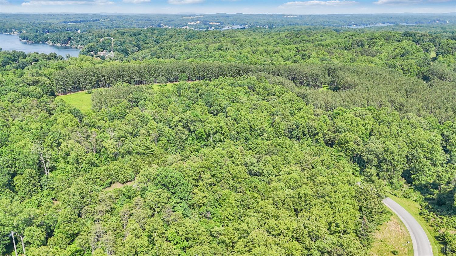 0 Watchtower Drive Moneta, VA 24121 - Photo 24 of 28 a view of a large yard with lots of green space