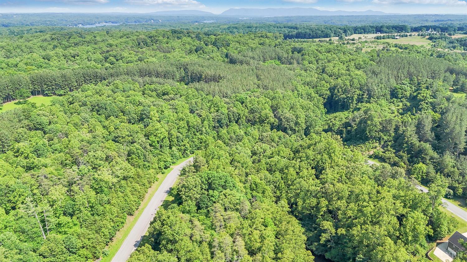 0 Watchtower Drive Moneta, VA 24121 - Photo 25 of 28 a view of a lush green forest with a lush green forest