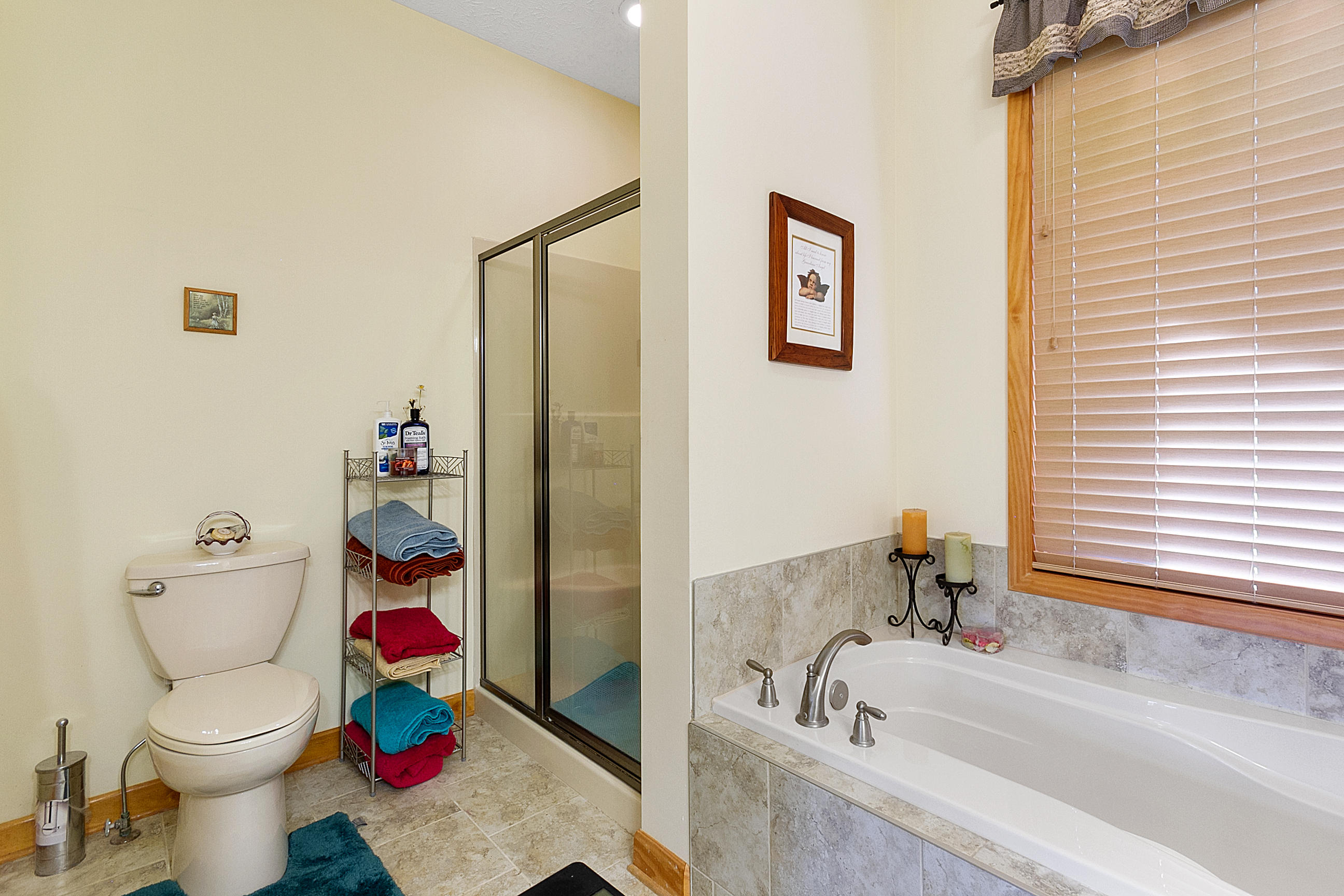 3950 Flatwoods Road Elliston, VA 24087 - Photo 28 of 94 a bath room with a toilet and a shower