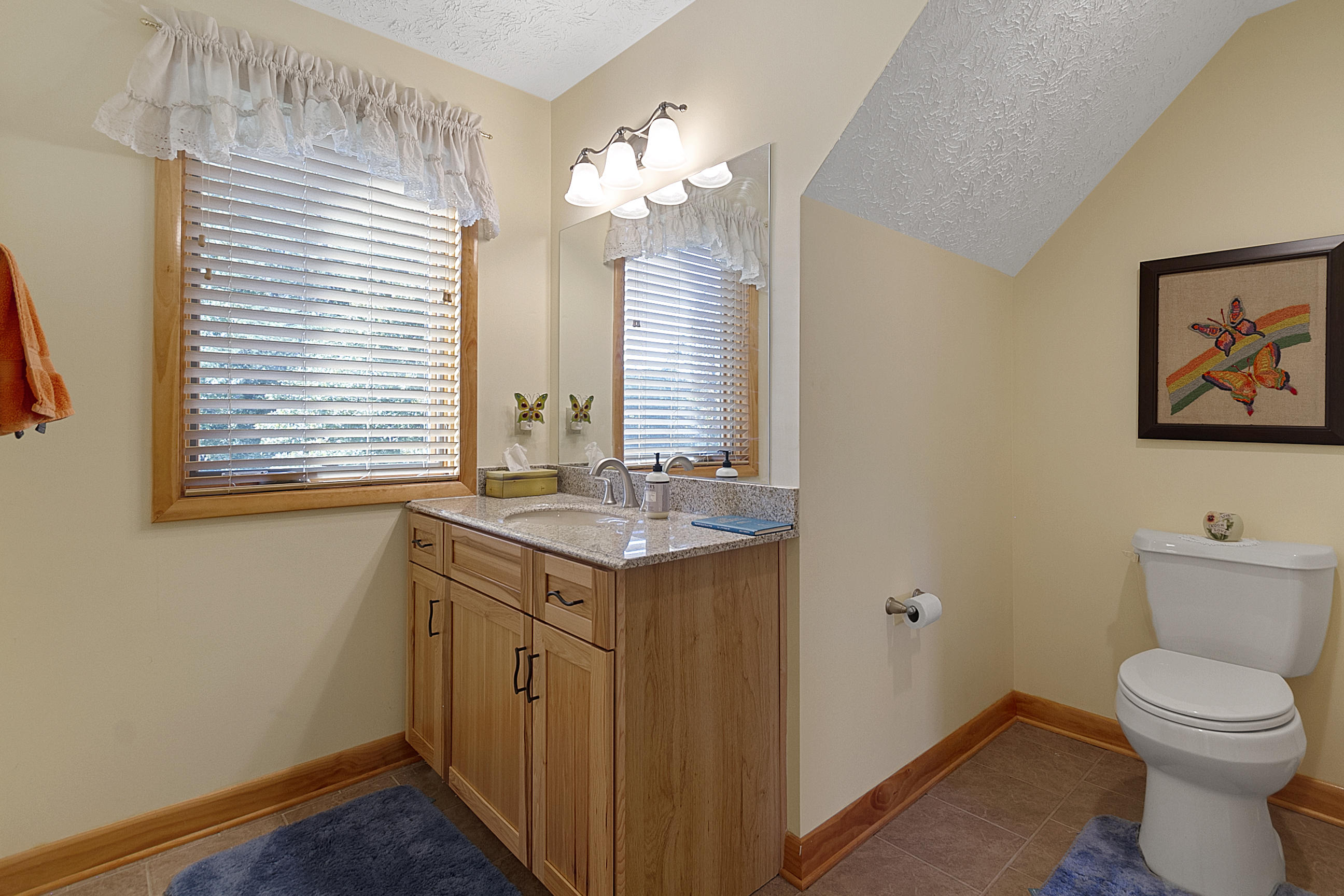 3950 Flatwoods Road Elliston, VA 24087 - Photo 64 of 94 a bathroom with a toilet a sink and a mirror