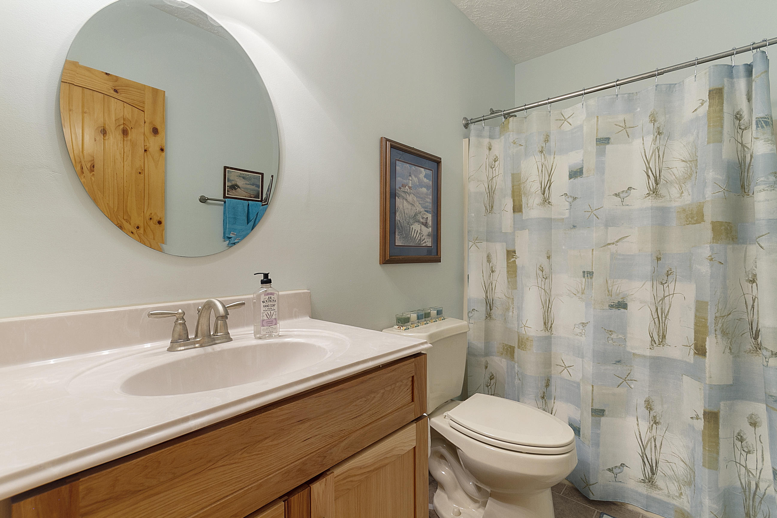 3950 Flatwoods Road Elliston, VA 24087 - Photo 82 of 94 a bathroom with a sink a toilet and shower