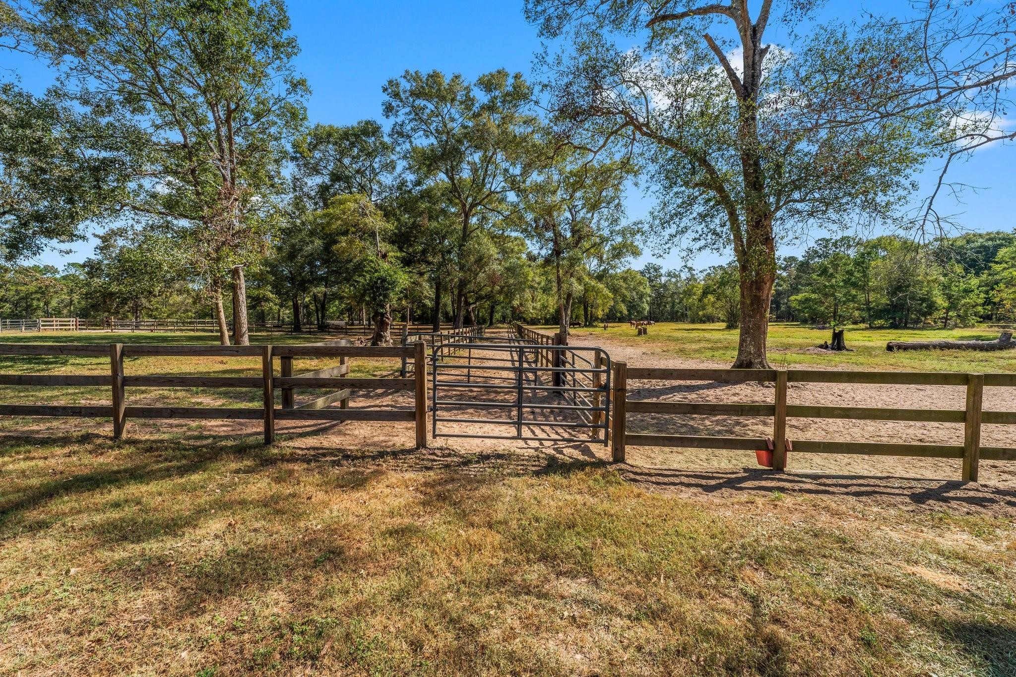 2118 Pine Road Cleveland, TX 77328 - Photo 29 of 40