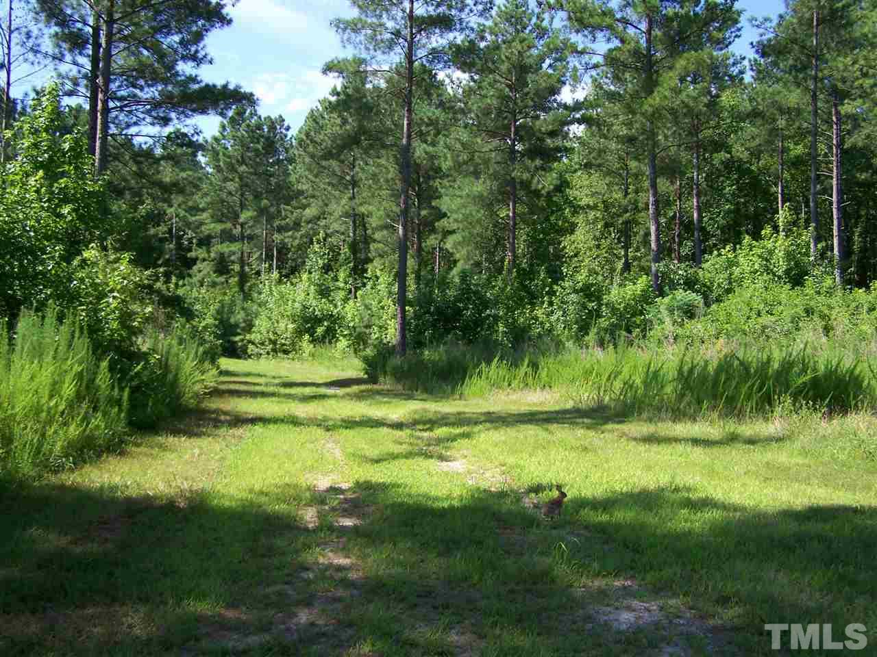 105 Rock Spring Church Road Henderson, NC 27537 - Photo 4 of 9 a view of a grassy field with trees