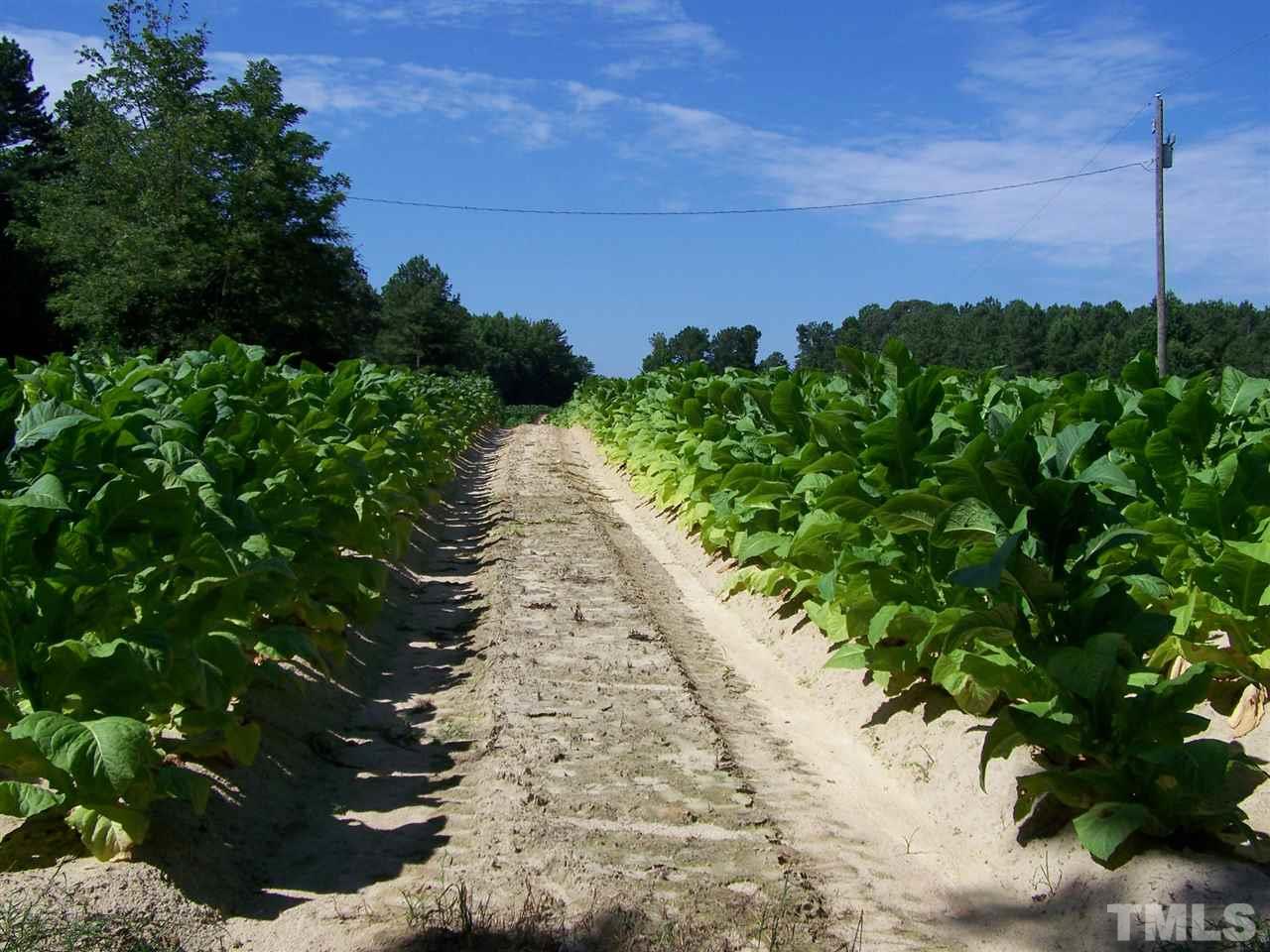 105 Rock Spring Church Road Henderson, NC 27537 - Photo 5 of 9 a view of a pathway with a tree