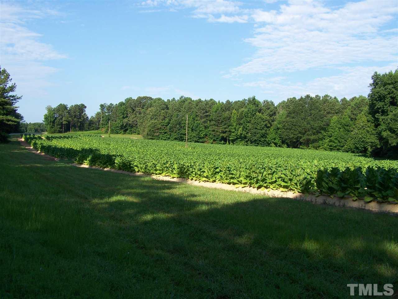 105 Rock Spring Church Road Henderson, NC 27537 - Photo 9 of 9 a view of a grassy field with trees