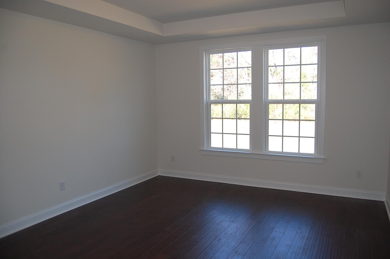 2216 Spring Hope Drive Mount Pleasant, SC 29466 - Photo 11 of 19 Owners bedroom