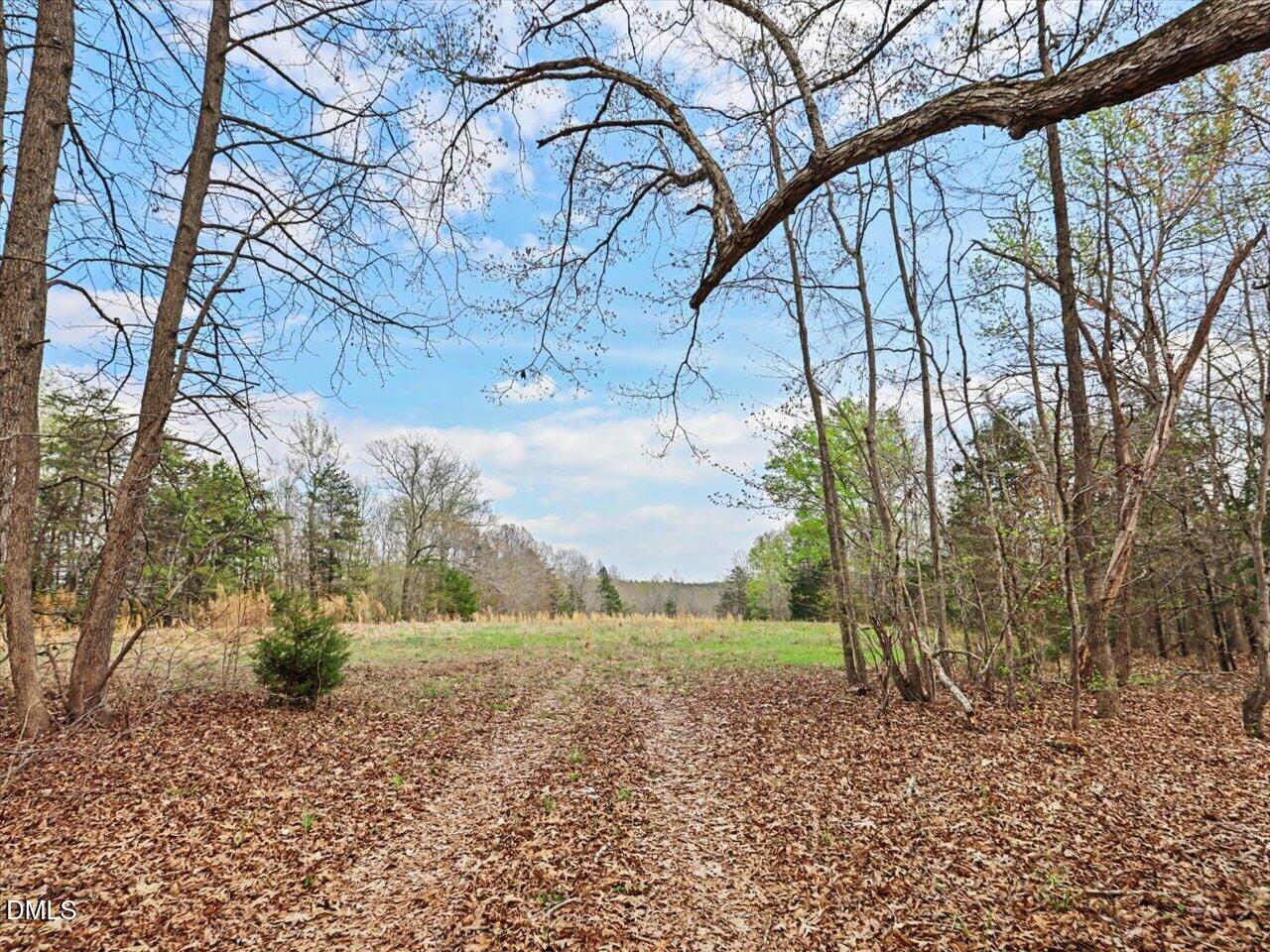 7793 Ridgeville Road Leasburg, NC 27291 - Photo 37 of 91