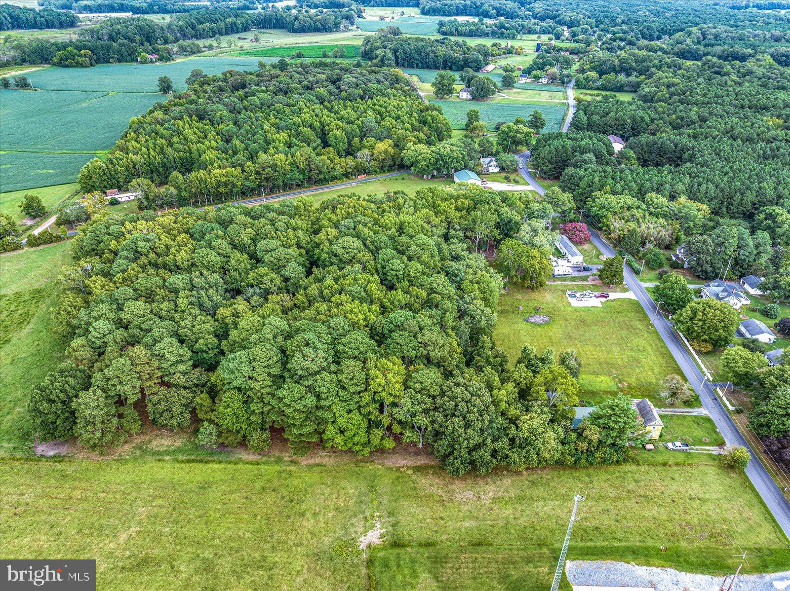 27510 Mt Vernon Road Princess Anne, MD 21853 - Photo 32 of 41 Luscious Trees, Warm Country Community