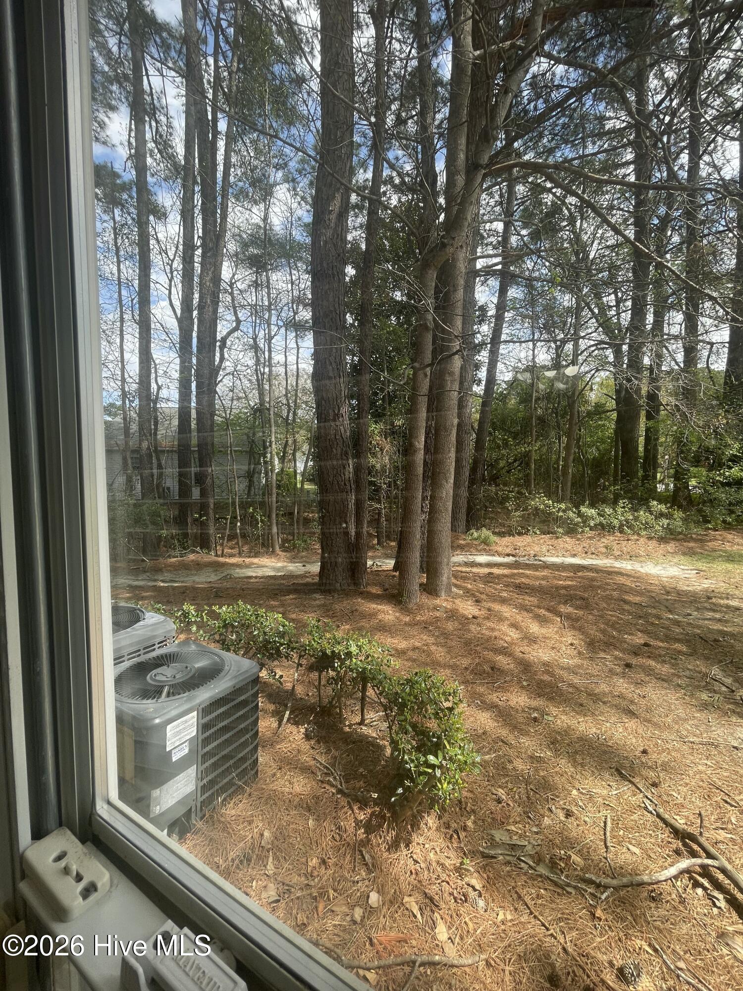 2591 Thackery Road, Unit C Greenville, NC 27858 - Photo 18 of 20 IMG_8809