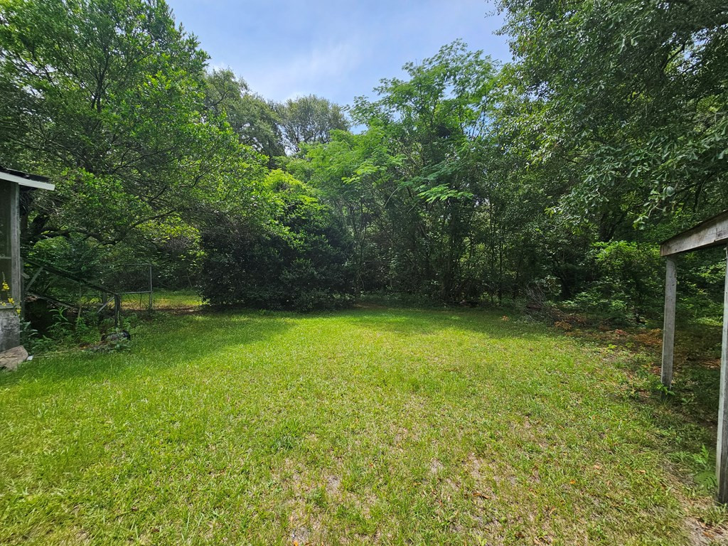 14196 Raccoon Road Manning, SC 29102 - Photo 13 of 39 Gallery Image 13