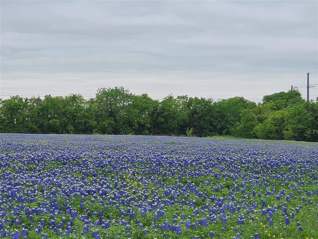 1810 Longbranch Road Waxahachie, TX 76065 - Photo 11 of 39 a view of an outdoor space and a yard