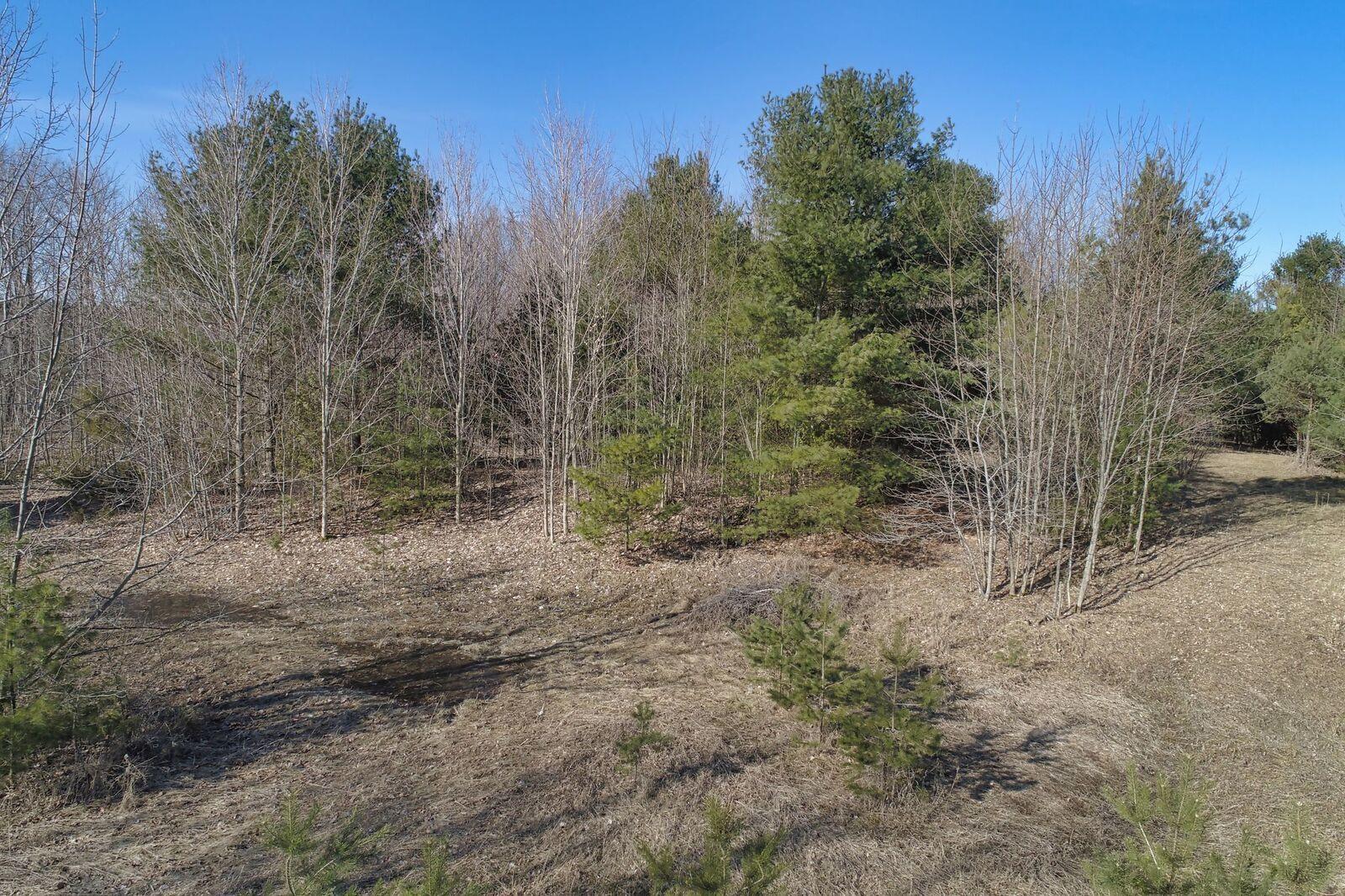 Natalie Lane Cheboygan, MI 49721 - Photo 24 of 28 Gallery Image 24