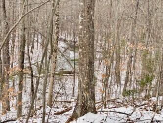 15 Ripps Trail Bethel, ME 04217 - Photo 29 of 45 thumbnail_IMG_3713