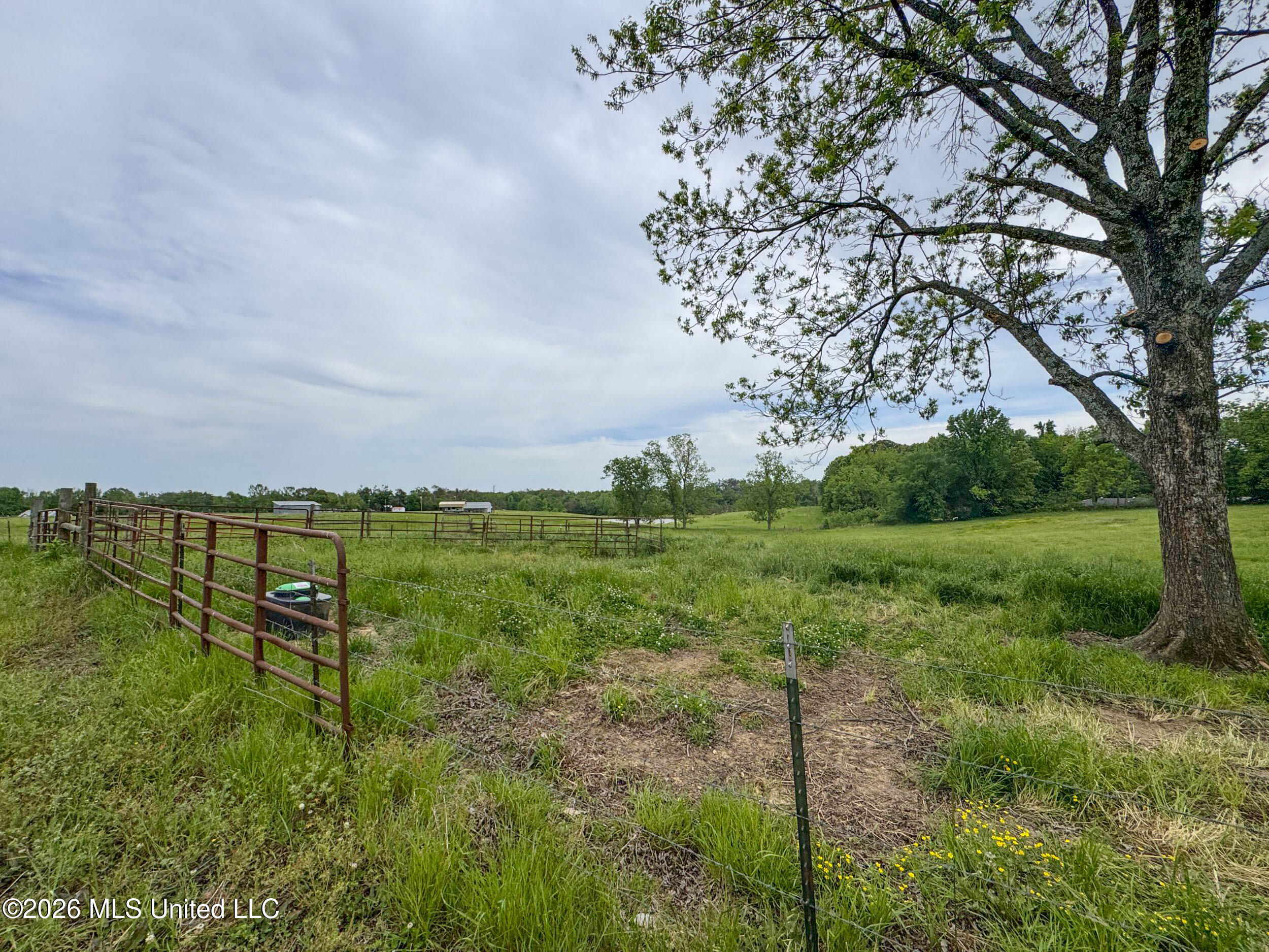 116 Hawkins Road Courtland, MS 38620 - Photo 193 of 200 4tamtgm229