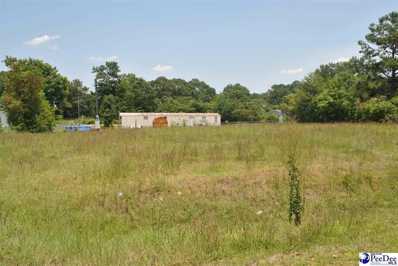 Lot 43 Sunny Point Road Darlington, SC 29532 - Photo 1 of 1 Gallery Image 1