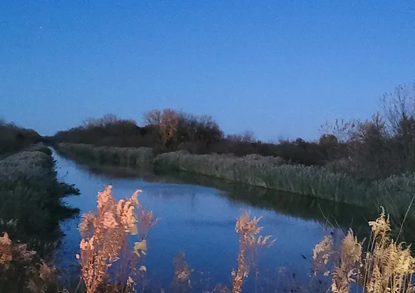 a view of a lake in middle of forest