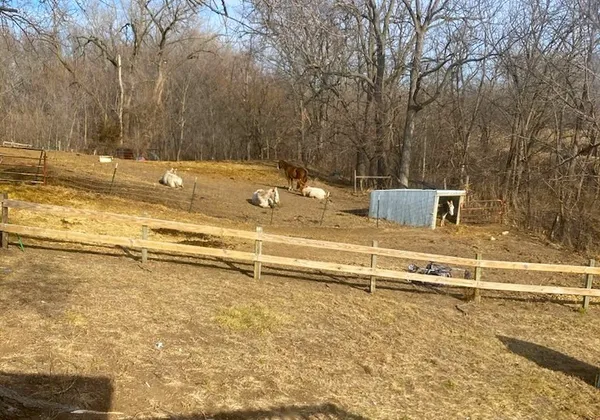 a view of a backyard with lawn chairs and wooden fence