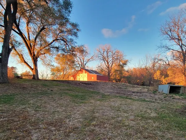 a view of dirt yard with large trees