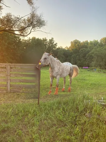 $159,600 | 21882-410 410 E Street, Sheffield, IL 61361