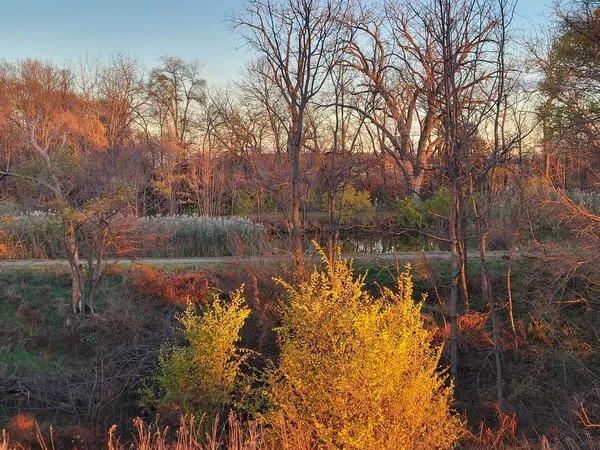 a view of lake with green space
