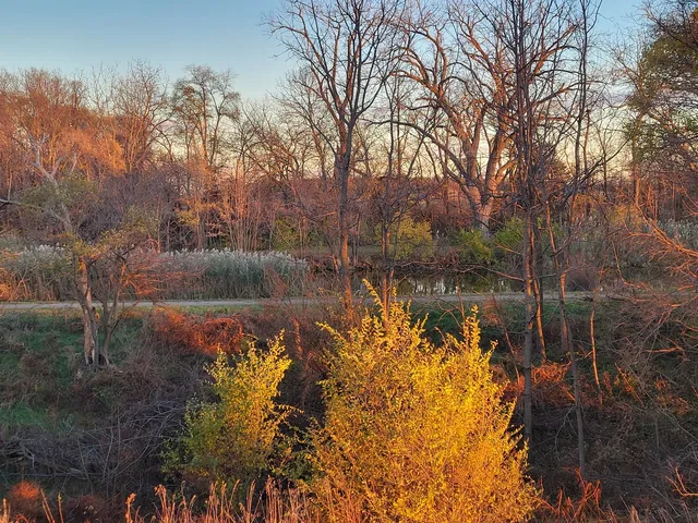 $159,600 | 21882-410 410 E Street, Sheffield, IL 61361