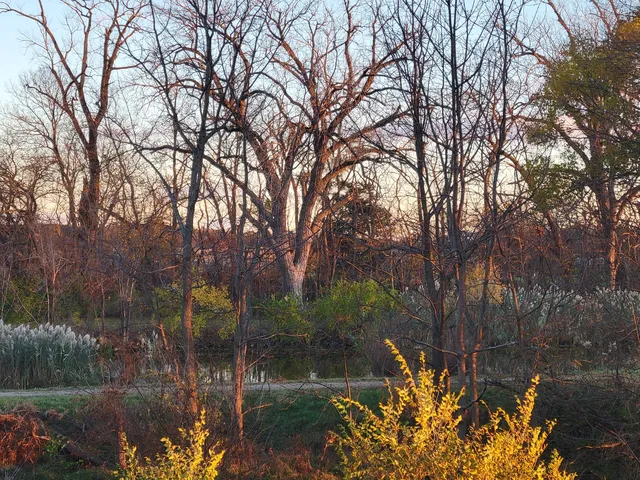 $159,600 | 21882-410 410 E Street, Sheffield, IL 61361