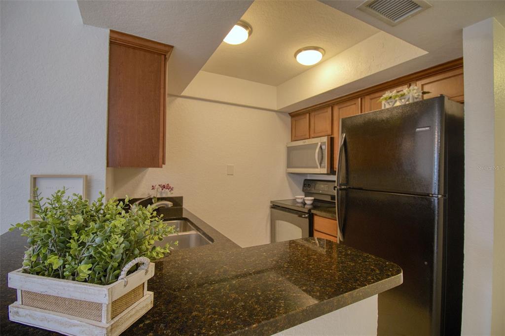 702 Lyndhurst Street, Unit 821 Dunedin, FL 34698 - Photo 9 of 36