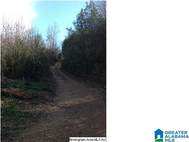 0 Henderson Lake Road, Unit 128 Munford, AL 36268 - Photo 12 of 31