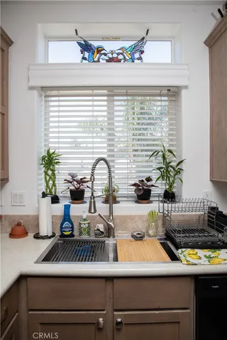 a kitchen with a sink and a potted plant