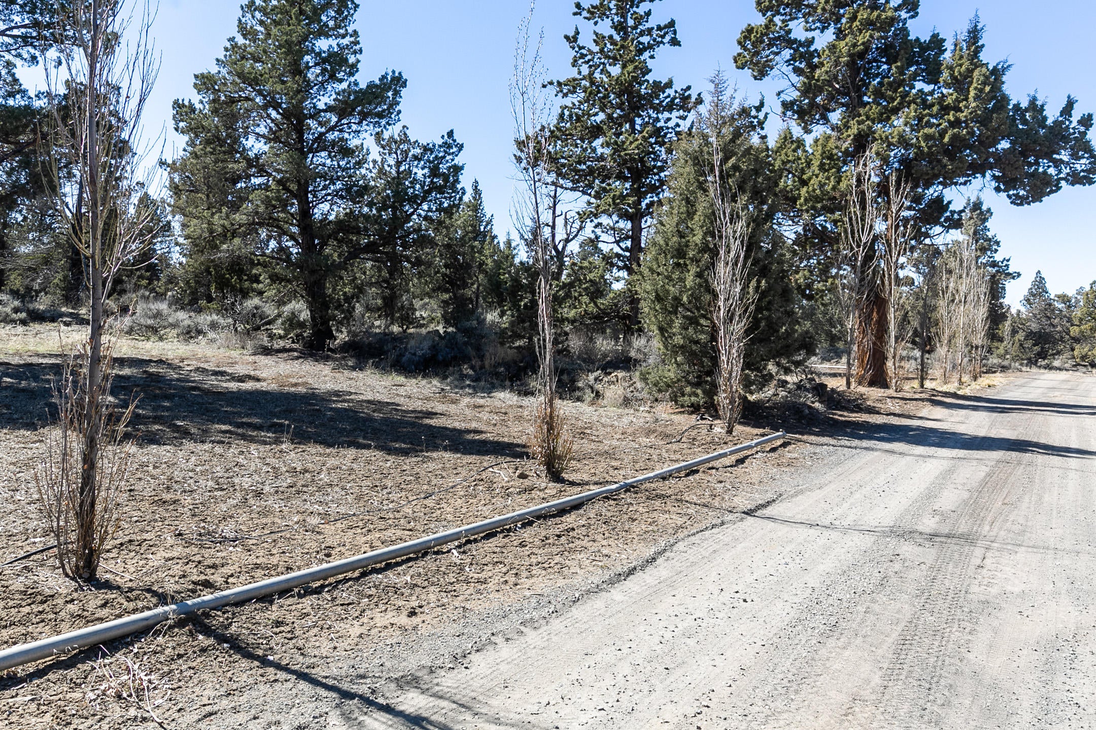 64281 Deschutes Market Road Bend, OR 97701 - Photo 6 of 43 Private road to home looking West
