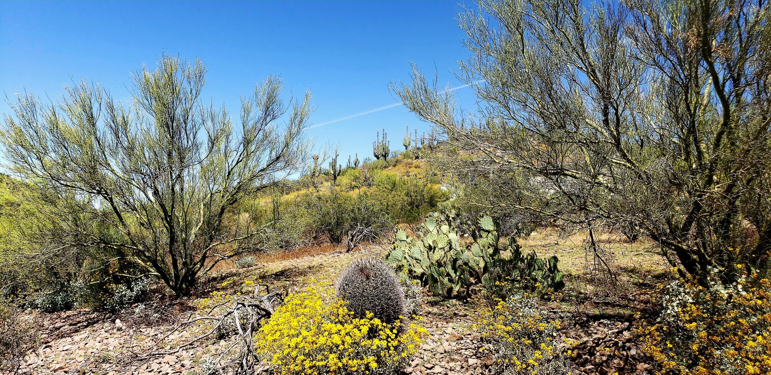 Tbd South Blazed Ridge Road, Unit C2 Tucson, AZ 85739 - Photo 28 of 37