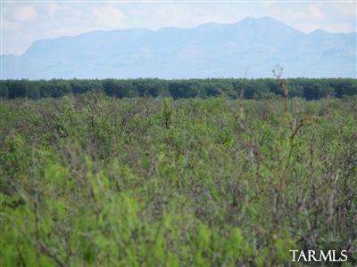 0 East Soaptree Road Bowie, AZ 85605 - Photo 3 of 5