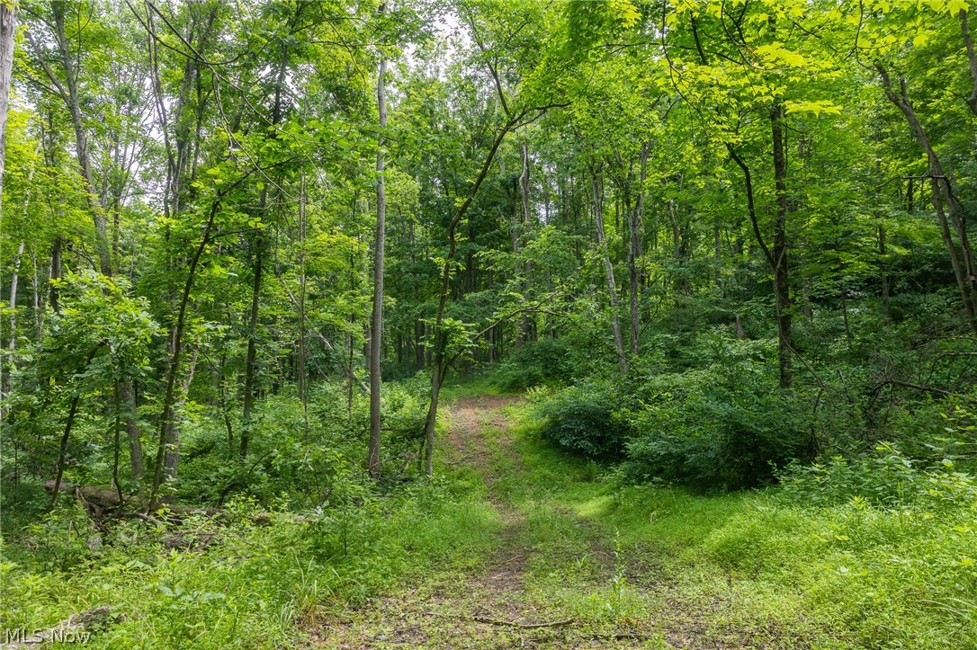 Kinnen Road Caldwell, OH 43724 - Photo 22 of 37