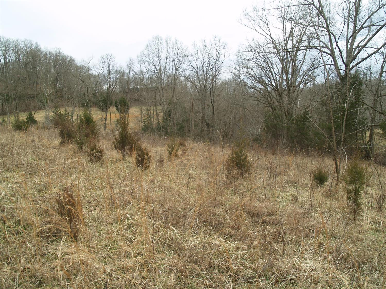 843 Red River Road Irvine, KY 40336 - Photo 15 of 18 Listing Photo