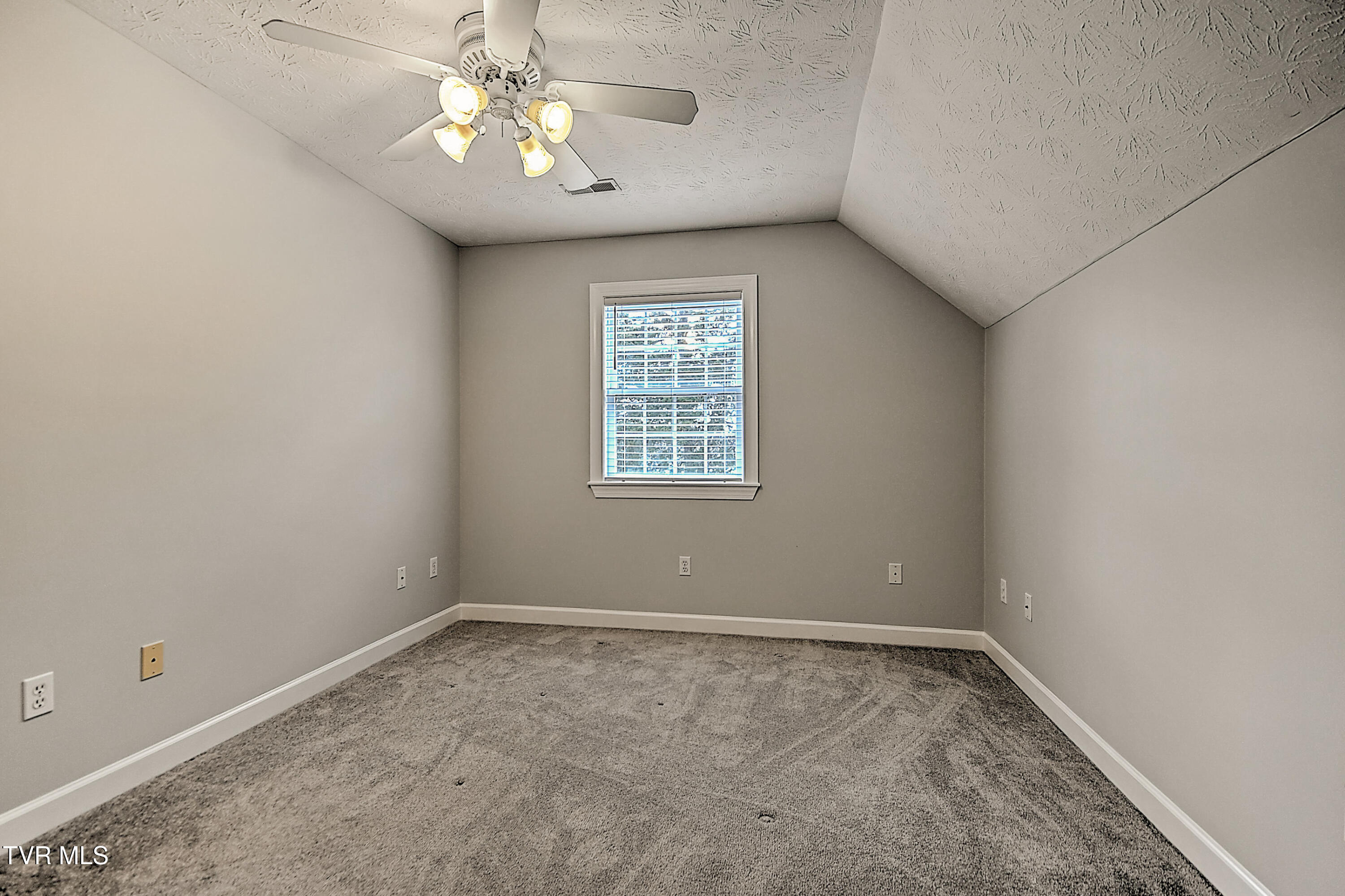 24573 Watauga Road Abingdon, VA 24211 - Photo 40 of 84 24573 Watauga RA-40