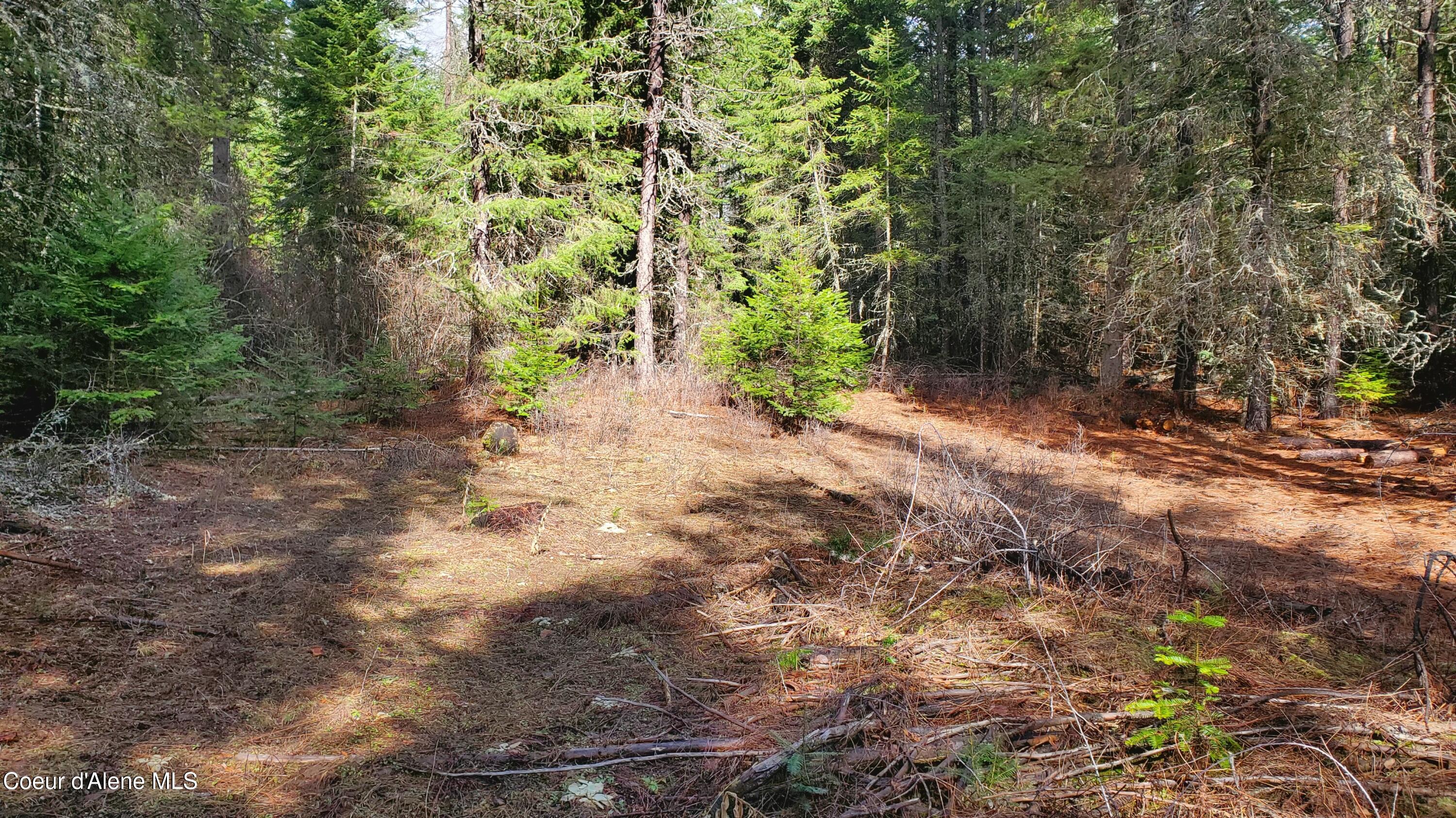 Nka Collins Road Athol, ID 83801 - Photo 2 of 3 NKA Collins Rd.