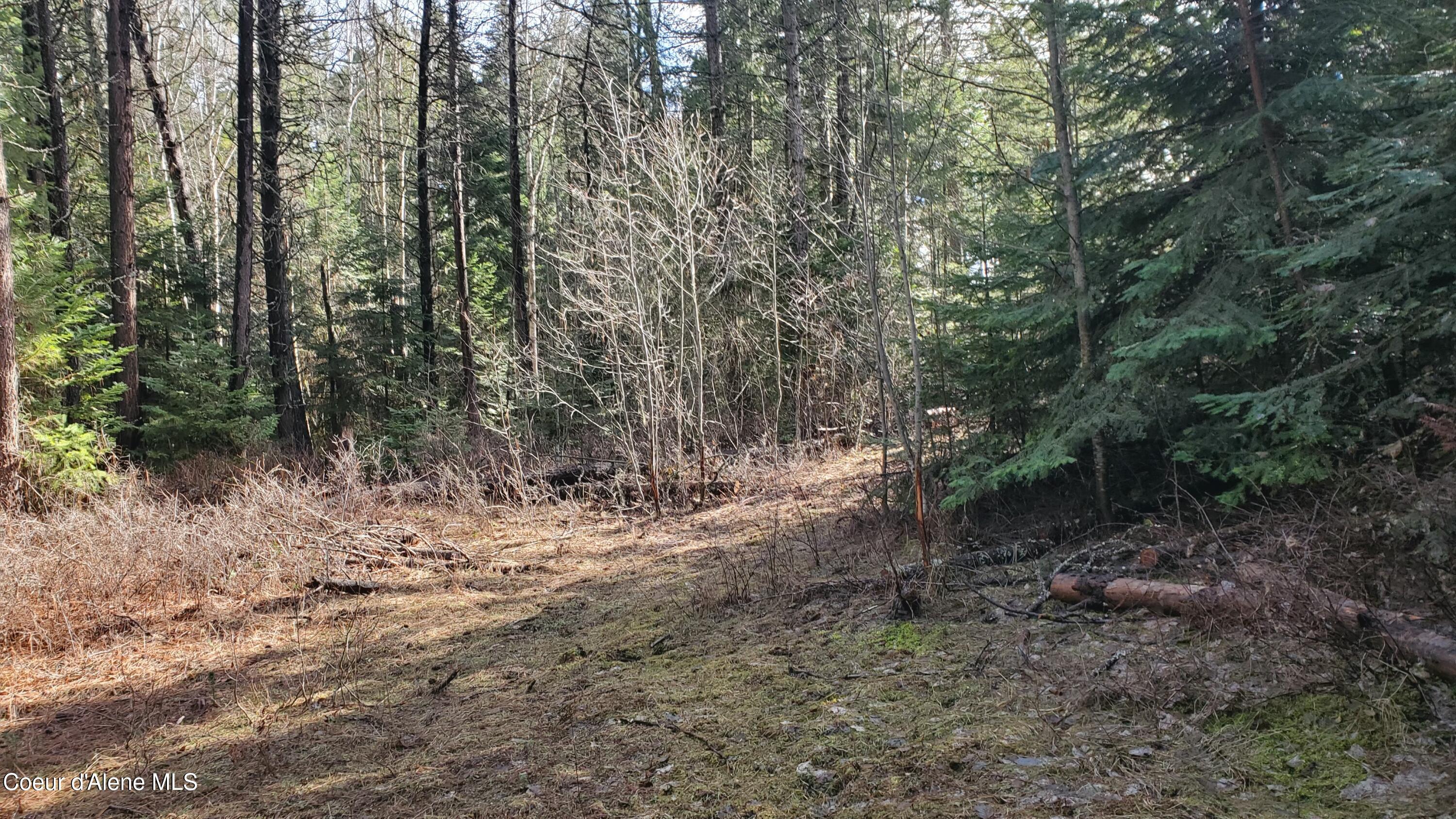 Nka Collins Road Athol, ID 83801 - Photo 3 of 3 NKA Collins Rd.