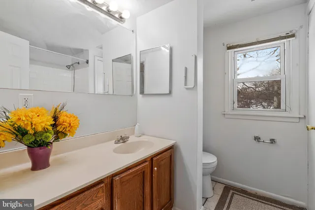 a bathroom with a sink a toilet and a mirror