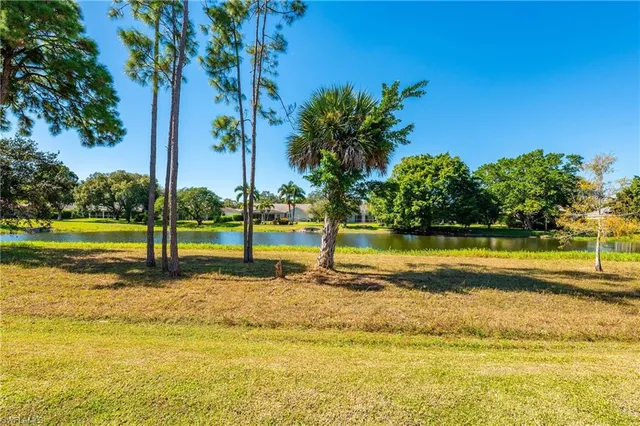 a view of a swimming pool with a garden and swimming pool