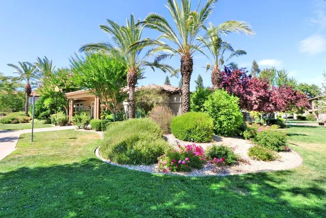 a view of a house with a big yard and potted plants